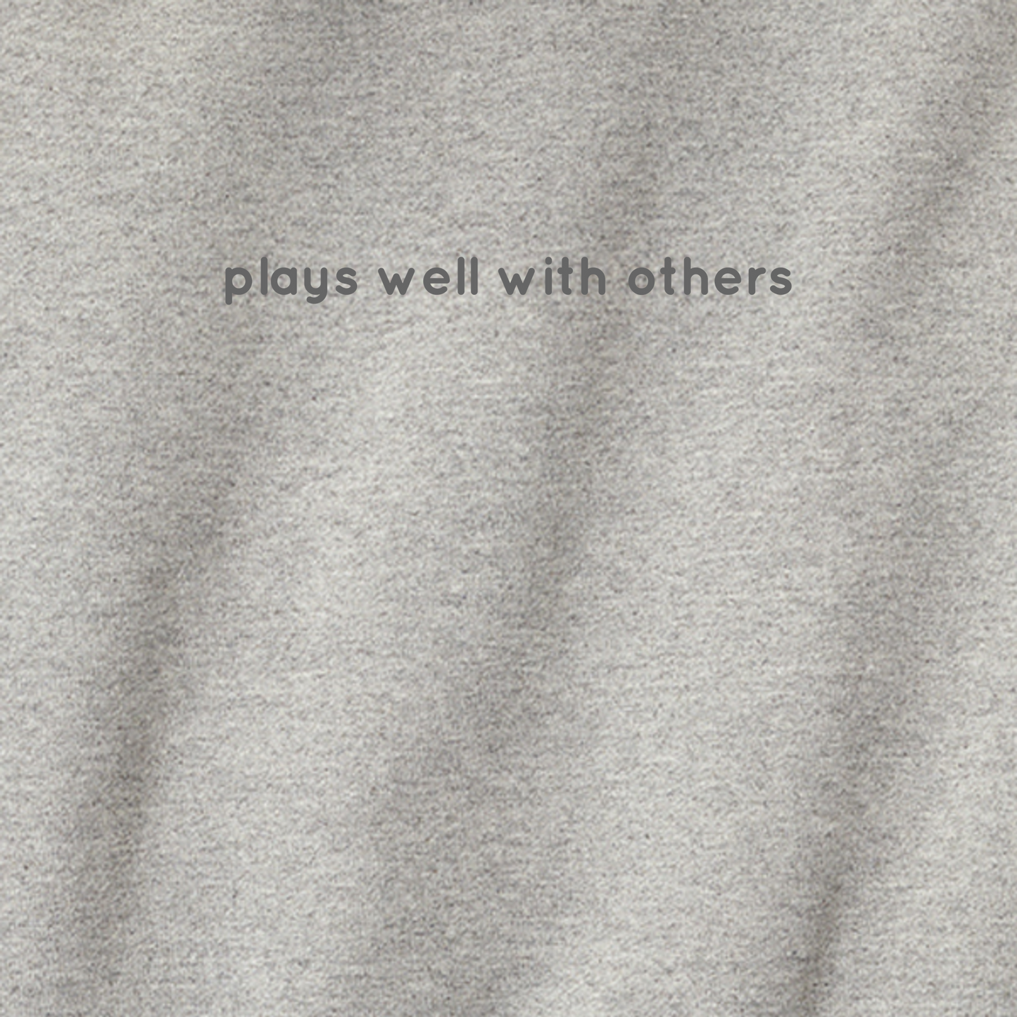 Plays Well with Others - Hoodie (multiple colors)